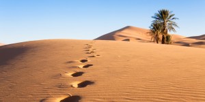 The timeless voice of St. Isaac the Syrian